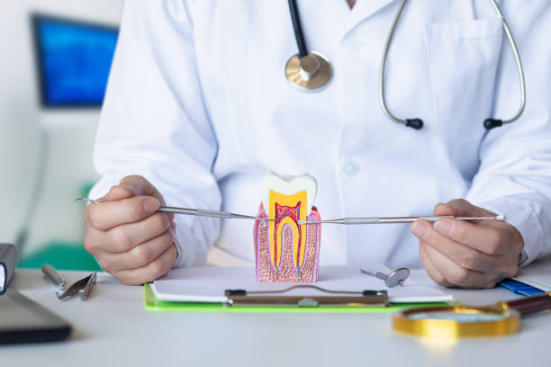 Emergency Dental Filling Replacement in TN